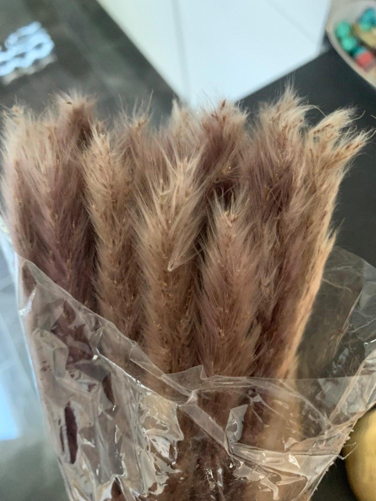 30/50pcs Bulrush Natural Dried Small Pampas Grass Artificial Decor Wedding Flower Bunch Home Office Floor Vase Filler for Living Room Kitchen And Event Decoration