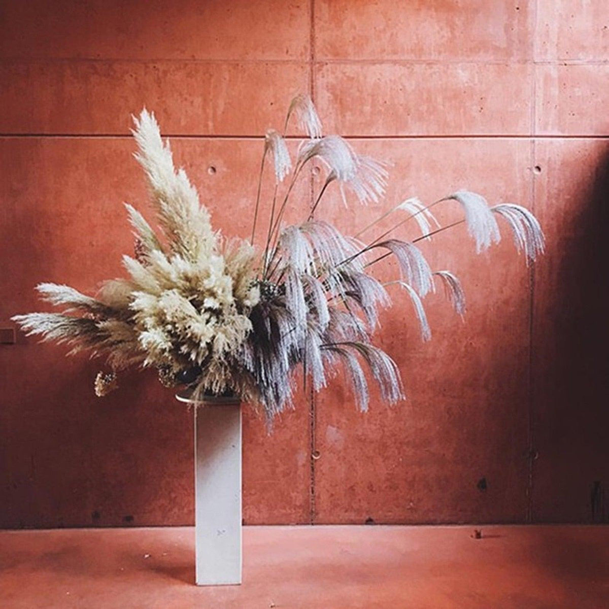 30/50pcs Bulrush Natural Dried Small Pampas Grass Artificial Decor Wedding Flower Bunch Home Office Floor Vase Filler for Living Room Kitchen And Event Decoration