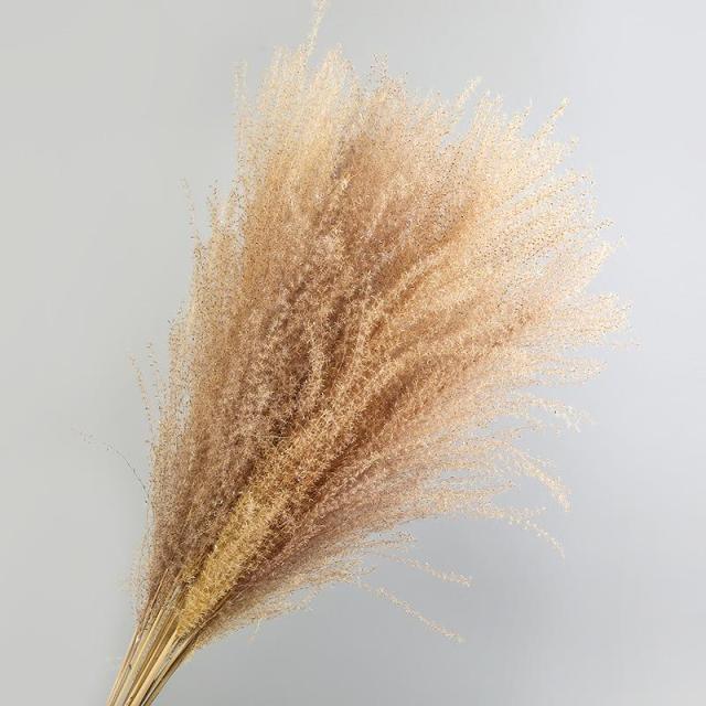 30pcs Natural Dried Pampas Grass Bouquet Pampas Grass Reeds Flowers Bulrush Bouquets Durable For for Vase Artificial Grass Room Décor Wedding Decorations