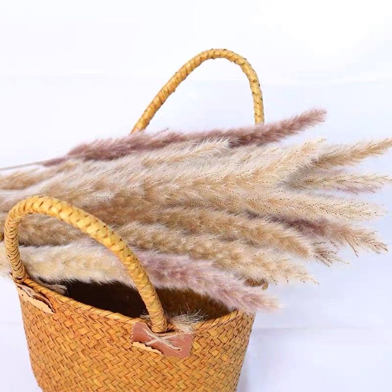 Bulrush Natural Dried Flowers Artificial Branch Pampas Grass Phragmites Fake Flower Wedding Home Decoration Christmas Decor