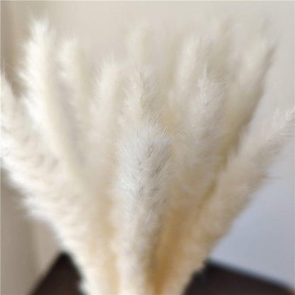 30Pcs Dried Bulrush Flowers Bouquet Home Wedding Decoration Table Flores Preservadas Pampas Grass Natural Reed Decor for Room
