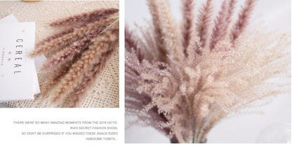 30pcs Natural Dried Pampas Grass Bouquet Pampas Grass Reeds Flowers Bulrush Bouquets Durable For for Vase Artificial Grass Room Décor Wedding Decorations