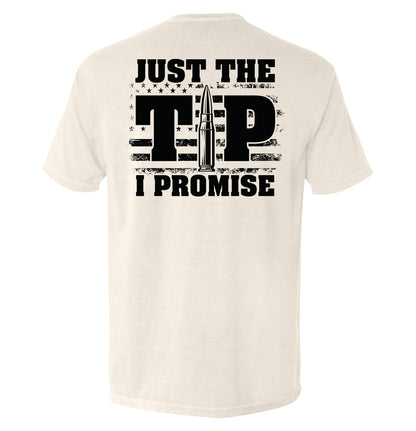 Just The Tip I Promise Flag