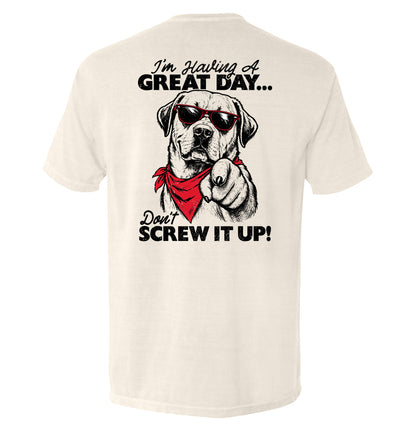 Don't Screw It Up