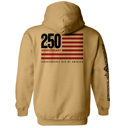 America 250 Years Anniversary Flag