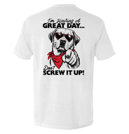 Don't Screw It Up