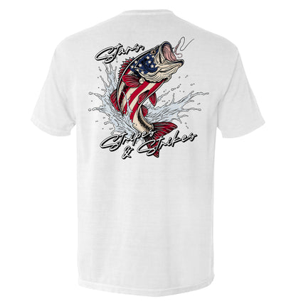 Stars Stripes and Strikes