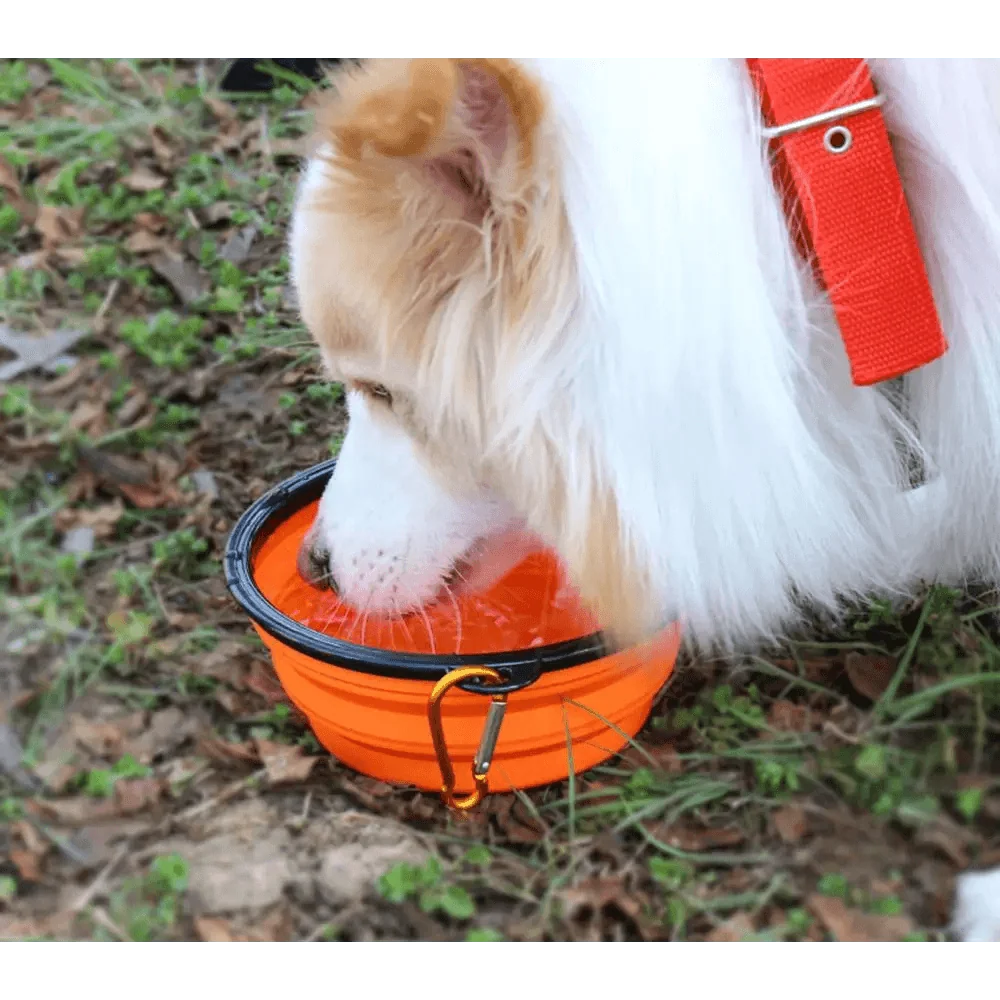 Universal Colorful Collapsible Silicone Dog Food Water Bowl Foldable Cup Dish For Pet Portable Travel Bowl For Dog